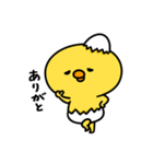 まいにちひよっこツンデレ（個別スタンプ：33）