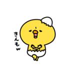 まいにちひよっこツンデレ（個別スタンプ：34）