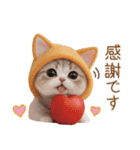 色々かわいいネコ達 気軽に使える日常 敬語（個別スタンプ：2）