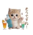 色々かわいいネコ達 気軽に使える日常 敬語（個別スタンプ：16）