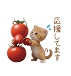 色々かわいいネコ達 気軽に使える日常 敬語（個別スタンプ：17）