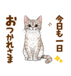 ミヌエットの毎日使える気持ちスタンプ（個別スタンプ：5）