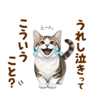 ミヌエットの毎日使える気持ちスタンプ（個別スタンプ：7）