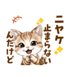 ミヌエットの毎日使える気持ちスタンプ（個別スタンプ：10）