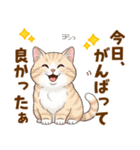 ミヌエットの毎日使える気持ちスタンプ（個別スタンプ：12）