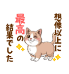 ミヌエットの毎日使える気持ちスタンプ（個別スタンプ：13）