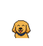 my cute cute dog.（個別スタンプ：1）