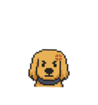 my cute cute dog.（個別スタンプ：4）
