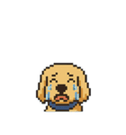 my cute cute dog.（個別スタンプ：6）