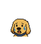 my cute cute dog.（個別スタンプ：8）