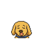 my cute cute dog.（個別スタンプ：12）