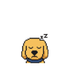 my cute cute dog.（個別スタンプ：13）