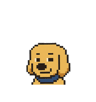 my cute cute dog.（個別スタンプ：22）