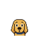 my cute cute dog.（個別スタンプ：24）