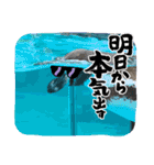 oirannANIMAL（個別スタンプ：9）