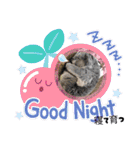 oirannANIMAL（個別スタンプ：11）