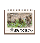 oirannANIMAL（個別スタンプ：15）