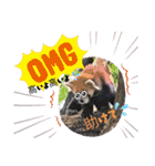 oirannANIMAL（個別スタンプ：19）