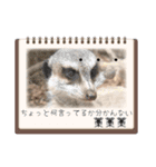 oirannANIMAL（個別スタンプ：21）