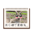 oirannANIMAL（個別スタンプ：23）