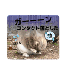 oirannANIMAL（個別スタンプ：28）