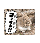 oirannANIMAL（個別スタンプ：29）