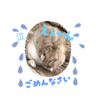 oirannANIMAL（個別スタンプ：33）