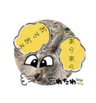 oirannANIMAL（個別スタンプ：38）