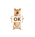 リアル柴犬(日常)（個別スタンプ：14）