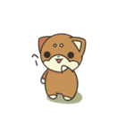シバかりの日常スタンプ(赤柴ver.)（個別スタンプ：1）