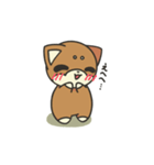 シバかりの日常スタンプ(赤柴ver.)（個別スタンプ：4）