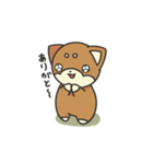 シバかりの日常スタンプ(赤柴ver.)（個別スタンプ：6）
