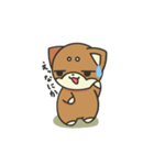 シバかりの日常スタンプ(赤柴ver.)（個別スタンプ：12）