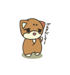 シバかりの日常スタンプ(赤柴ver.)（個別スタンプ：23）