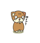 シバかりの日常スタンプ(赤柴ver.)（個別スタンプ：24）