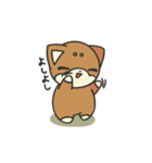 シバかりの日常スタンプ(赤柴ver.)（個別スタンプ：30）