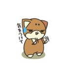 シバかりの日常スタンプ(赤柴ver.)（個別スタンプ：33）