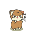 シバかりの日常スタンプ(赤柴ver.)（個別スタンプ：35）