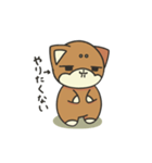 シバかりの日常スタンプ(赤柴ver.)（個別スタンプ：39）
