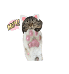 にゃろん with ペロみ②（個別スタンプ：14）