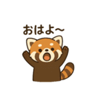 表情豊かなレッサーパンダくん（個別スタンプ：1）