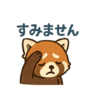 表情豊かなレッサーパンダくん（個別スタンプ：4）