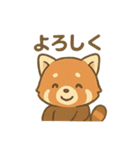表情豊かなレッサーパンダくん（個別スタンプ：15）