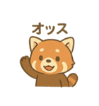 表情豊かなレッサーパンダくん（個別スタンプ：17）