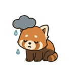 表情豊かなレッサーパンダくん（個別スタンプ：24）