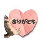 毎日使うととんぷ（個別スタンプ：2）