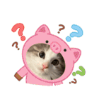 毎日使うととんぷ（個別スタンプ：4）