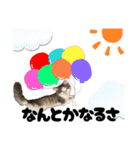 毎日使うととんぷ（個別スタンプ：20）