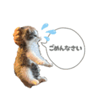 毎日使うととんぷ（個別スタンプ：23）
