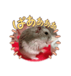 うちのハムチャン（個別スタンプ：21）